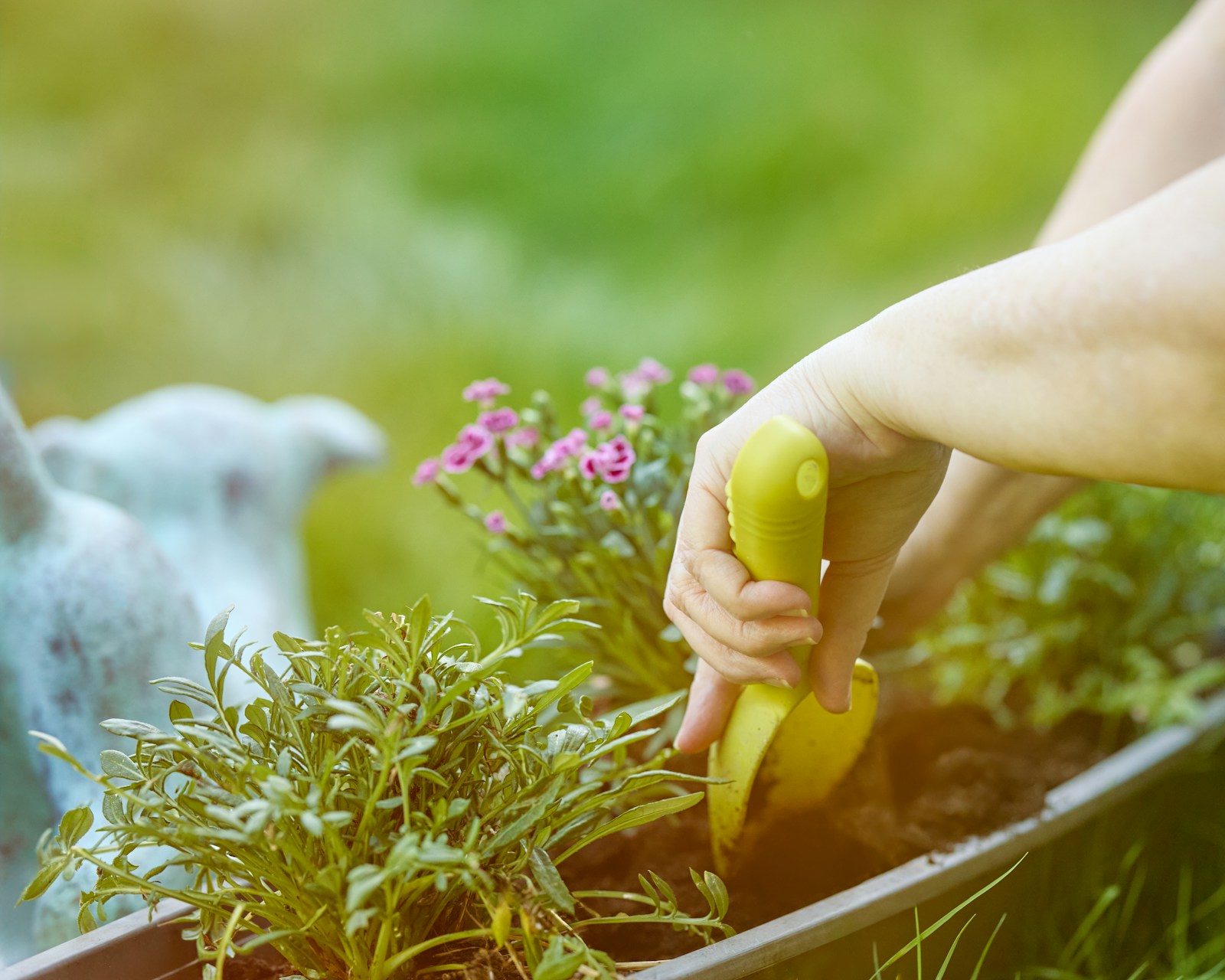 Professionele Beplantingswerken door Tuinen Lars Peeters